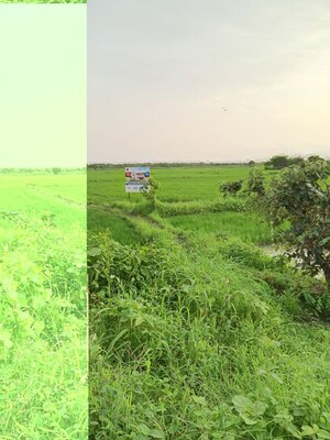  Plot – Garden View at Koproli - for Sale