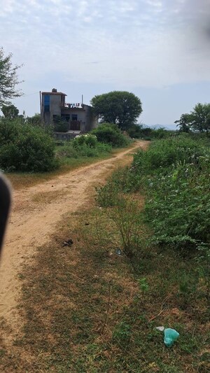1 BHK Independent House – Garden View at Bhakhera - for Sale