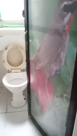 Bathroom in 1 BHK Apartment at Sheetal Apartment Vile Parle, Vile Parle East – for Rent