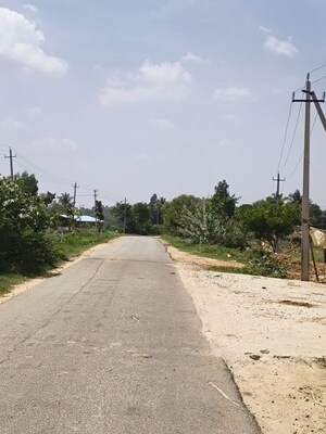 Plot Area in  Plot at Bagepalli – for Sale