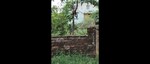 435 Sq.Ft. Plot in Pandra