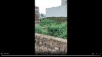 435 Sq.Ft. Plot in Ratu