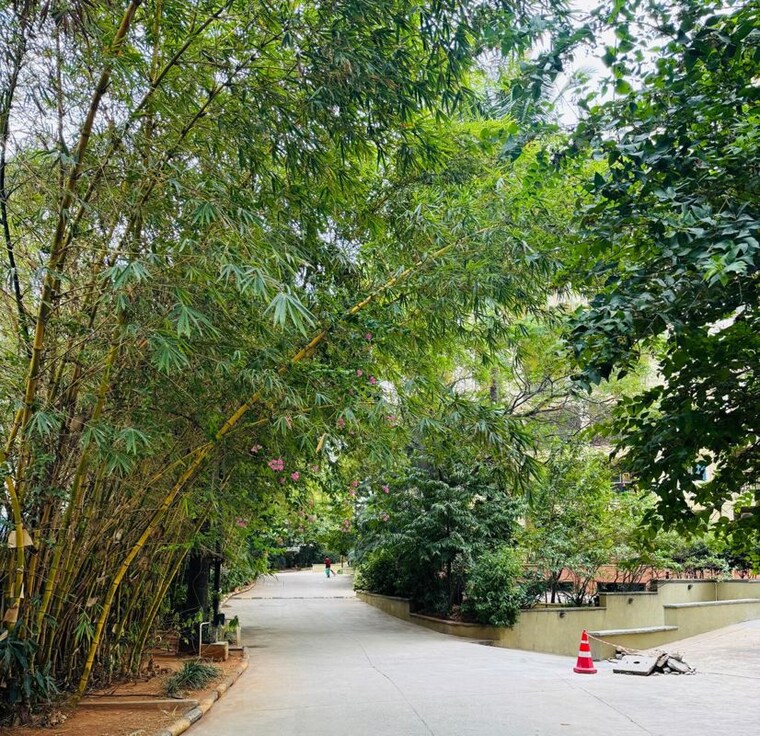 Garden, hsr layout 4 Bedroom 2400 Sq.Ft. Apartment In Hsr Layout Bangalore 10739506