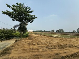 Plot Area in  Plot at Vedanta Residency, Sujroo – for Sale