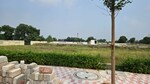 119 Sq.Yd. Plot in Newstone Coral Park