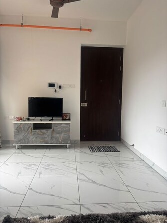 1 BHK +Apartment For Rent in Raymond Ten X Habitat in Pokhran Road No Two, Thane