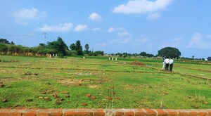  Plot For Sale in Arvind Greatlands, Devanahalli