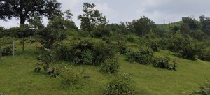 Plot Area in  Plot at Igatpuri – for Sale