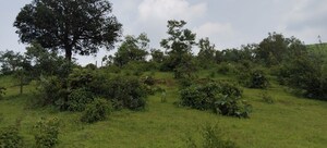 Plot Area in  Plot at Igatpuri – for Sale