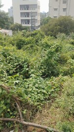 4500 Sq.Ft. Plot in Eka Living