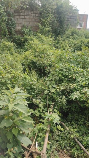  Plot – Garden View at Eka Living, Uttarahalli - for Sale
