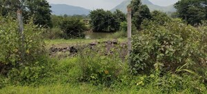 Plot Area in  Plot at Igatpuri – for Sale
