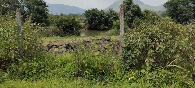 undefined, igatpuri  1 Acre Plot In Igatpuri Nashik 10740232