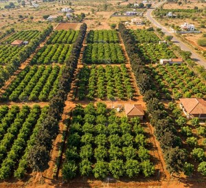  Land For Sale in Hindupur