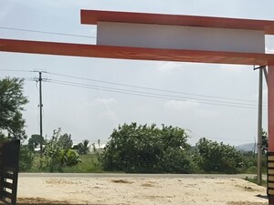 Plot Area in  Plot at Neralu Sandal Valley, Gauribidanur – for Sale