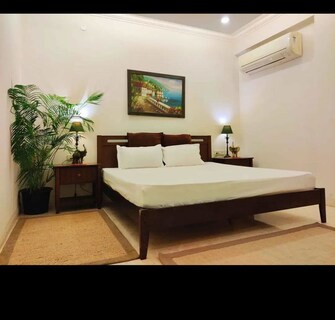1 BHK Apartment For Rent in Omaxe NRI City Apartments in Omega Ii Greater Noida, Greater Noida