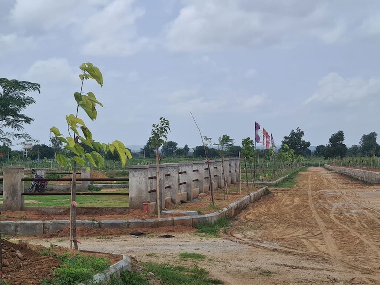 undefined, narsapur  153 Sq.Ft. Plot In Narsapur Hyderabad 10741030