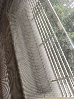 Balcony in 3 BHK Builder Floor at Saket – for Rent