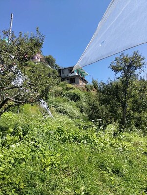  Plot – Garden View at Naldehra - for Sale
