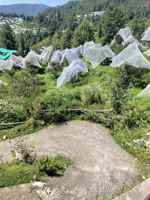 Plot Area in  Plot at Naldehra – for Sale