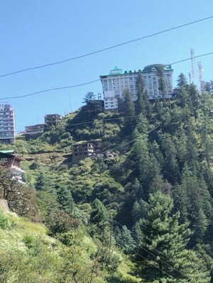  Plot – Garden View at Naldehra - for Sale