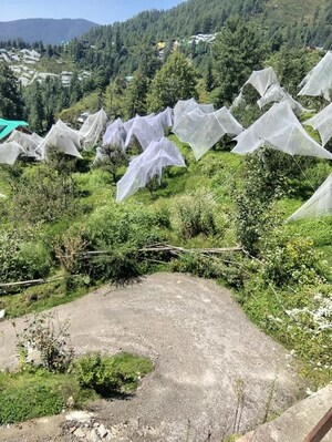 Plot Area in  Plot at Naldehra – for Sale