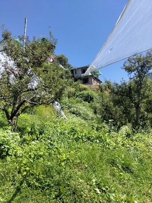 Plot – Garden View at Naldehra - for Sale