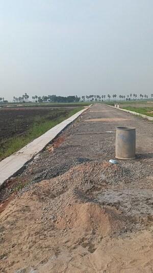 Plot Area in  Plot at Surampalli – for Sale