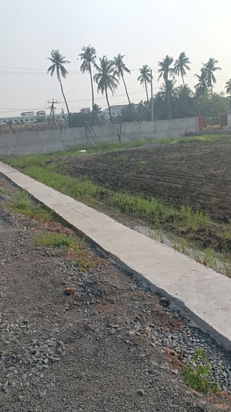 undefined, surampalli  184 Sq.Yd. Plot In Surampalli Vijayawada 10741806