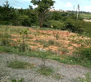  Plot For Sale in SLN City, Tavarekere