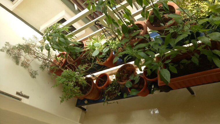 Exterior View, mana-candela 2 Bedroom 1063 Sq.Ft. Apartment In Sarjapur Road Bangalore 10741920