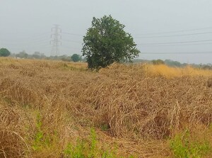 Plot Area in  Plot at Dronagiri – for Sale