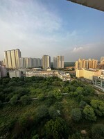 1 Rk  208 Sq.Ft. Apartment in DLF The Camellias