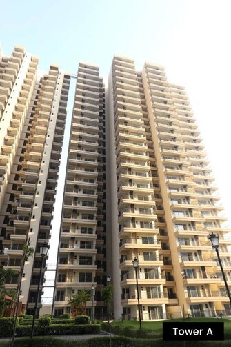 3 BHK Apartment For Rent in Gaur Yamuna City in Gaur Yamuna City, Greater Noida
