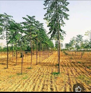  Plot For Sale in Spacevision Ambience, Shadnagar