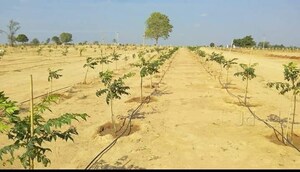 Plot Area in  Plot at Spacevision Ambience, Shadnagar – for Sale