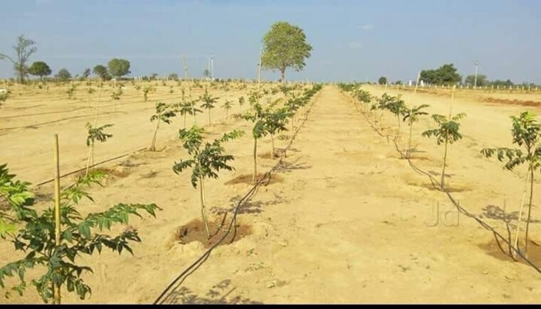 undefined, spacevision-ambience  643 Sq.Yd. Plot In Shadnagar Hyderabad 10742312