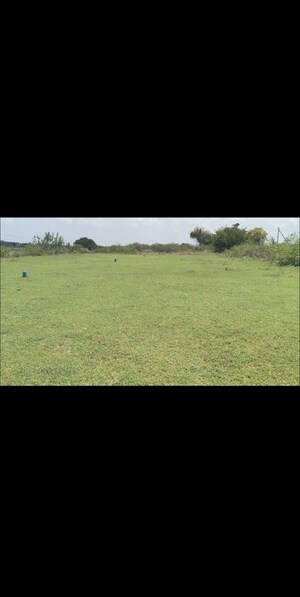 Plot Area in  Plot at Shoolagiri – for Sale