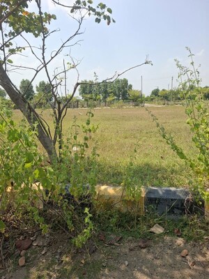 Plot Area in  Plot at Alekhya Elite County, Sangareddy – for Sale