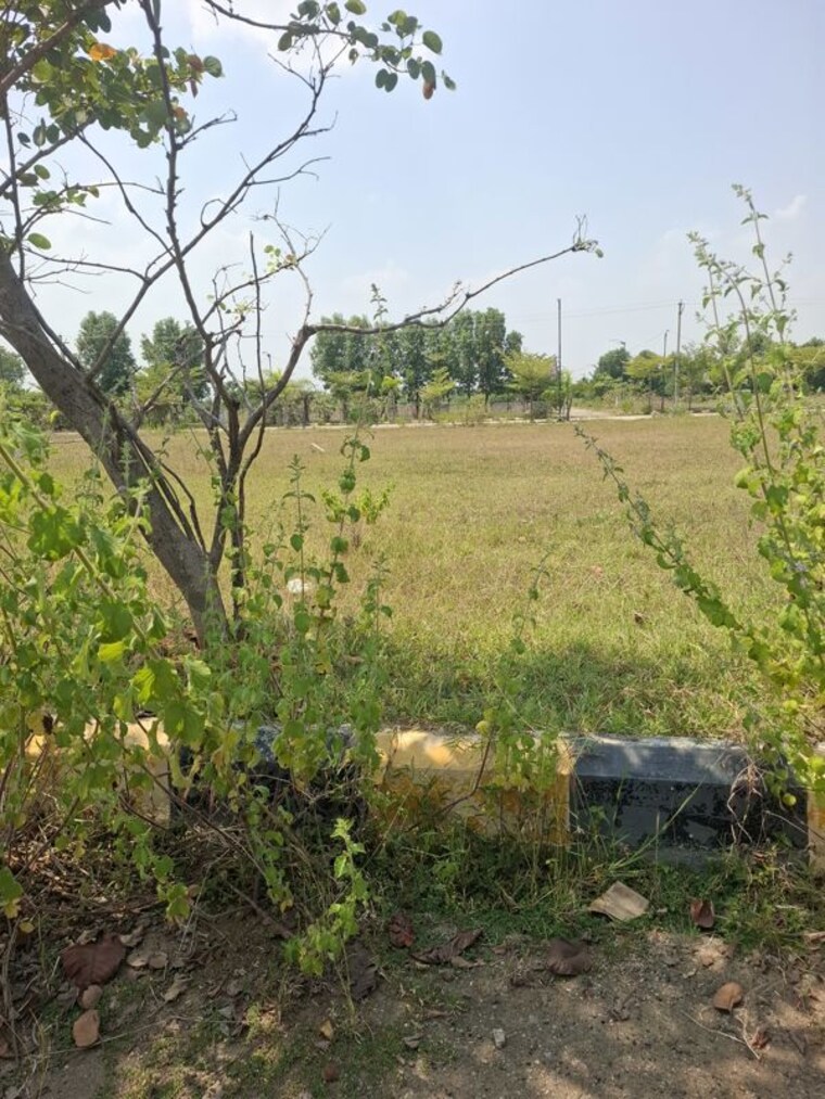 undefined, alekhya-elite-county  254 Sq.Yd. Plot In Sangareddy Hyderabad 10742439