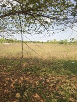 254 Sq.Yd. Plot in Alekhya Elite County