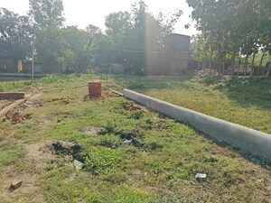Plot Area in  Plot at Golghar – for Sale