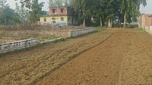 Plot Area in  Plot at Golghar – for Sale