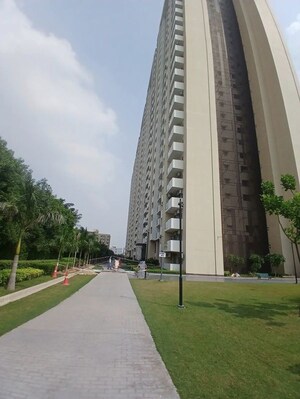 3 BHK Apartment For Sale in Tulip Yellow, Sector 69