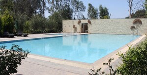 Swimming Pool in 3 BHK Apartment at Brigade Exotica, Old Madras Road – for Rent