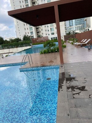 Swimming Pool in 3 BHK Apartment at Karle Vario Homes, Hebbal – for Rent