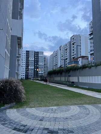 3 BHK +Apartment For Rent in Puravankara Purva Zenium in Hosahalli, Bangalore