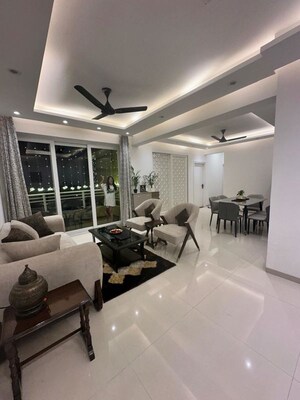 3 BHK Apartment For Rent in Tulip Violet, Sector 69