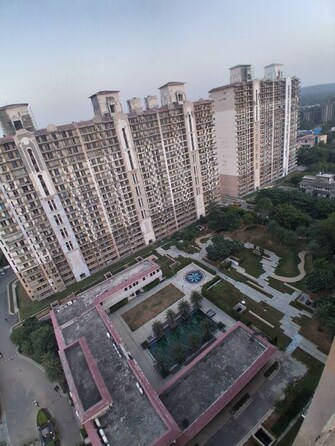 3.5 BHK +  2200 Sq.Ft. Apartment in DLF Express Greens