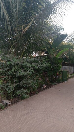  Apartment – Exterior View View at Shirdhon - for Sale